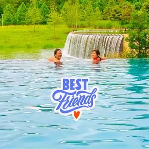 Meet your Posher, Phoebe